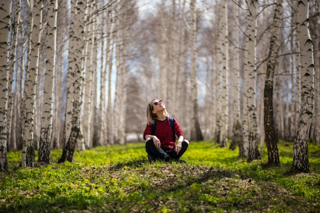 Person sitting between trees in a forest looking up